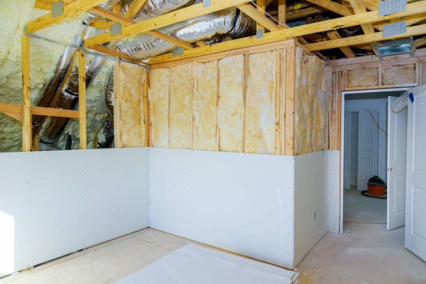 Best Insulation Maintenance and Repair in San Juan, TX