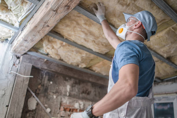 Best Blown-in Insulation in San Juan, TX